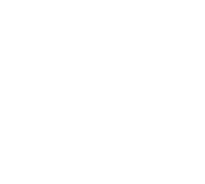 RODEO IMPORT